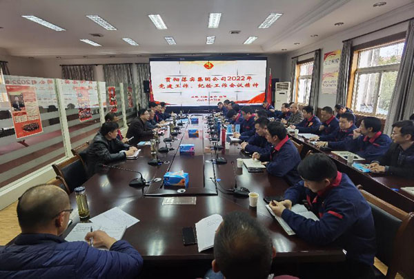 公司召開會議傳達(dá)集團(tuán)公司黨建工作、紀(jì)檢工作會議精神